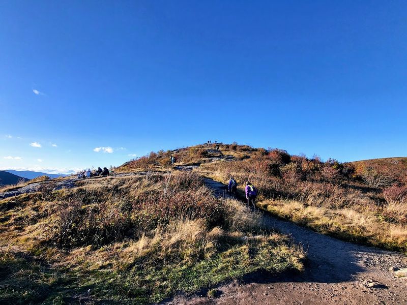 Black Balsam Knob