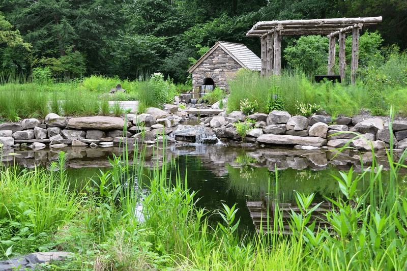Bowman's Hill Wildflower Preserve (New Hope)