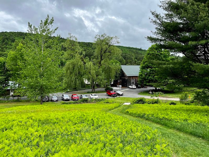 Montague Center