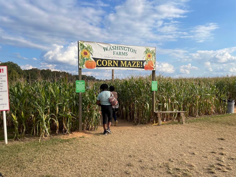 Summer & Fall Activities That Extend the Fun Year-Round
