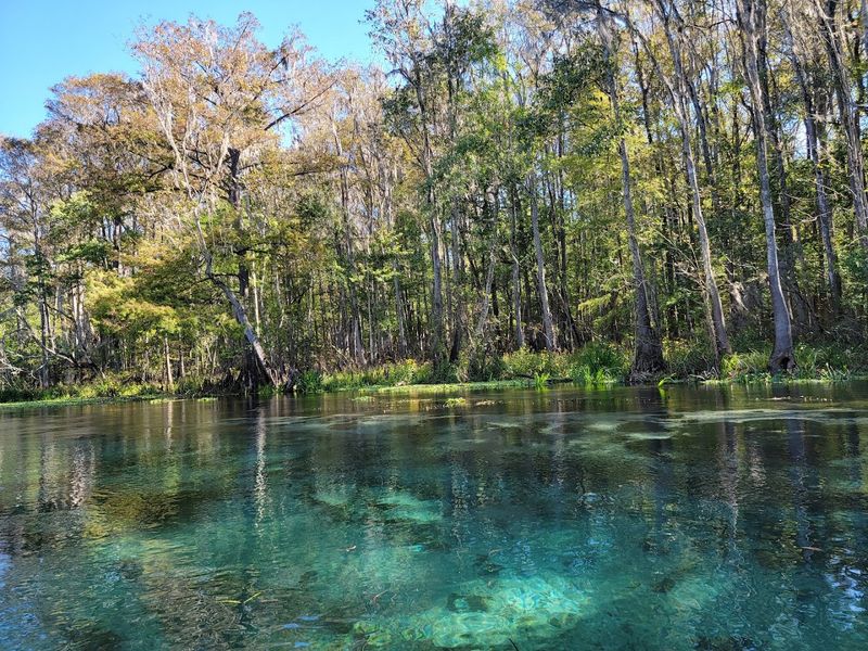 Ichetucknee River (Fort White)