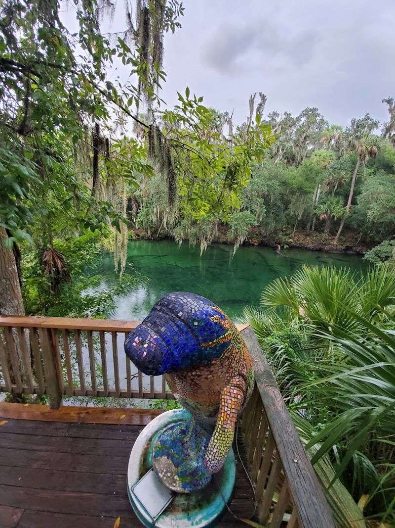 Blue Spring State Park (Orange City)