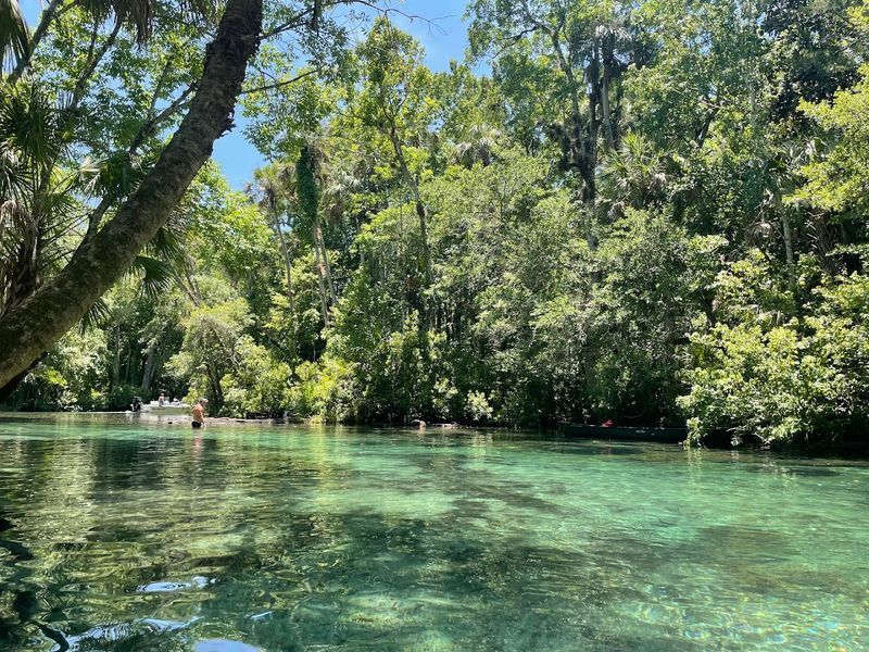 Chassahowitzka River