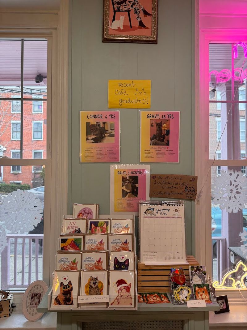 Supporting Local Artists Through Curated Shop Items
