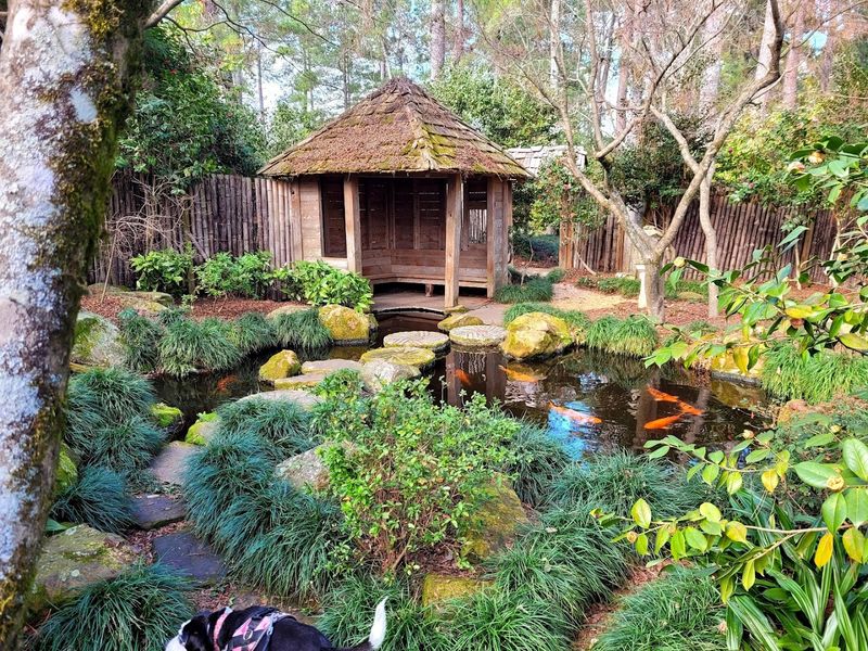 Massee Lane Gardens