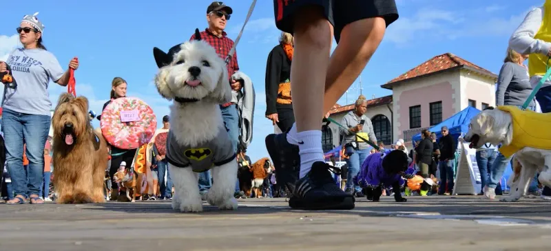 Ocean City Doo Dah Parade
