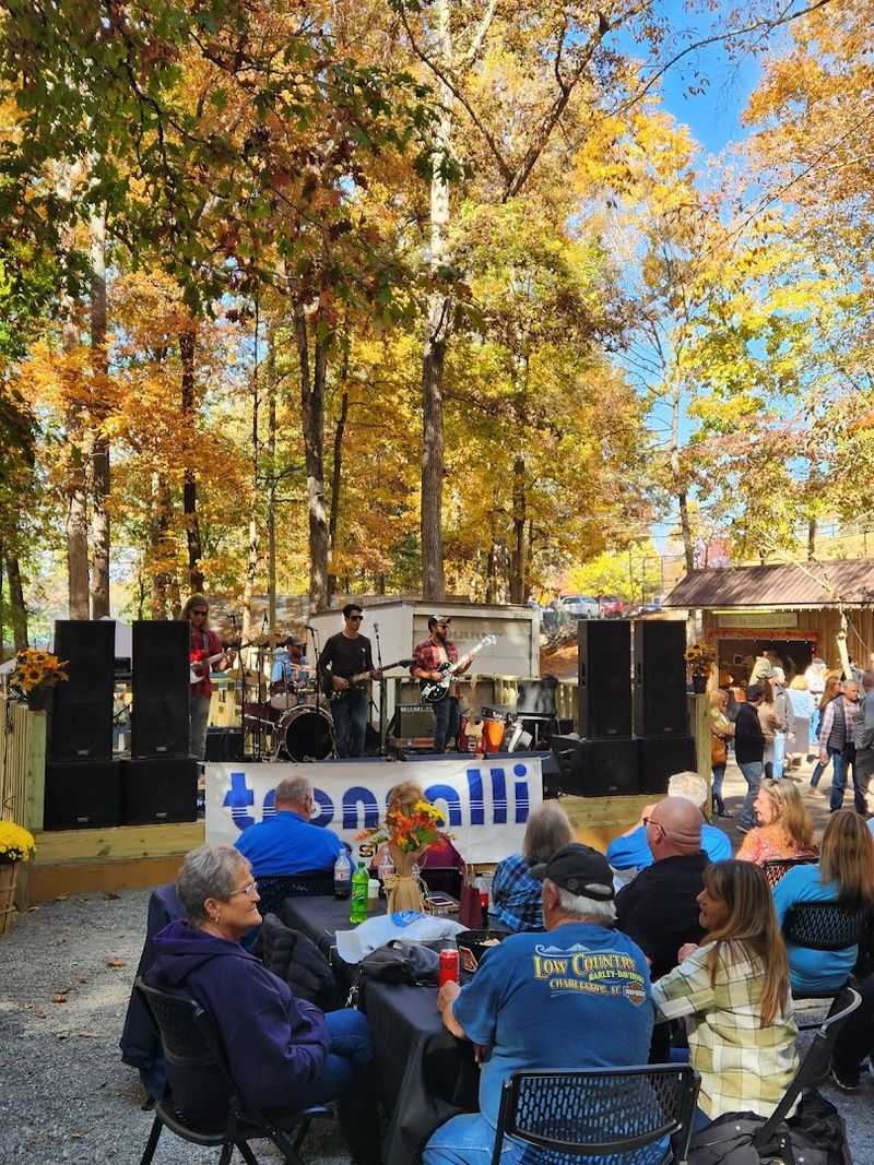 Georgia Mountain Fire & Smoke Cooking Festival