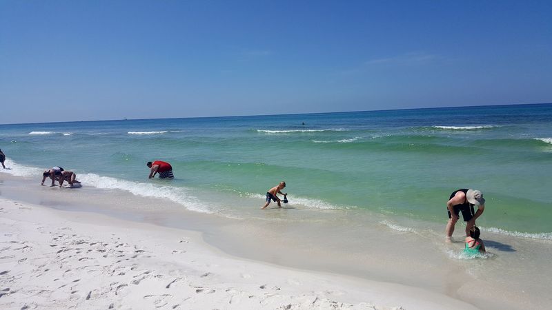 Scenic Shell Island Excursion Access