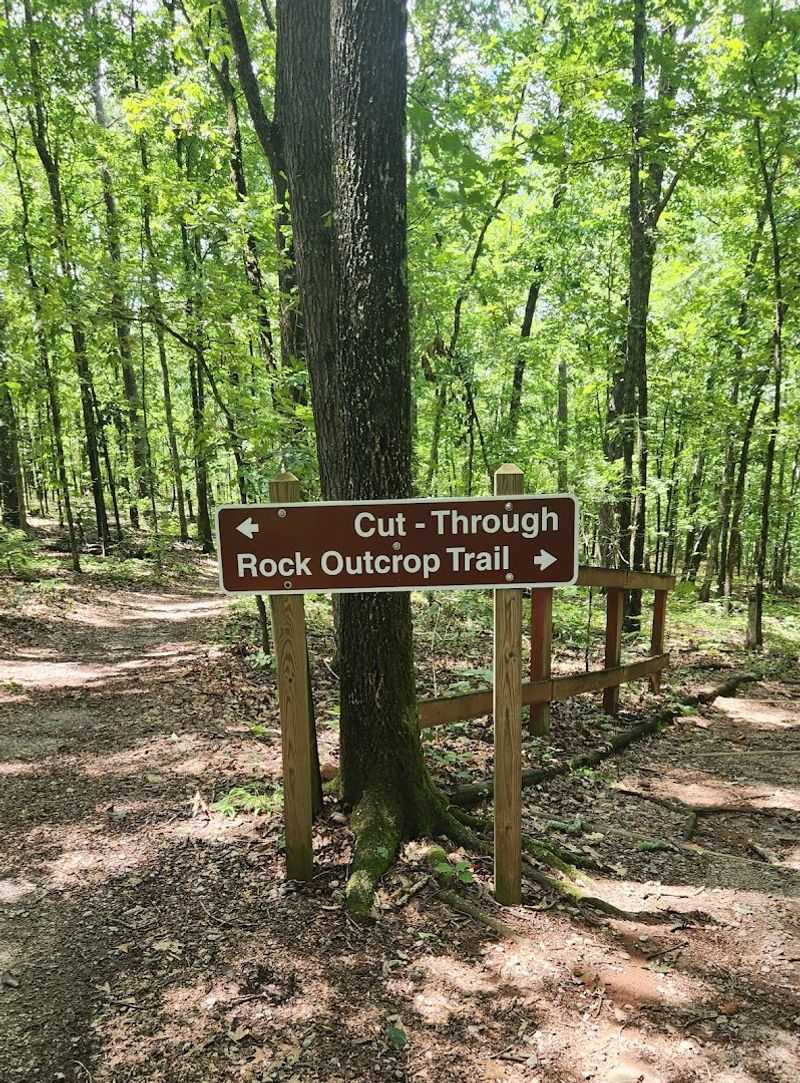 Panola Mountain State Park (Outcrop Trail) 