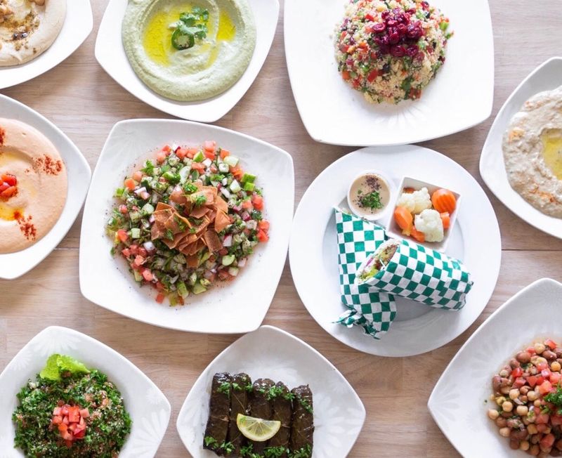 The Mediterranean Chickpea