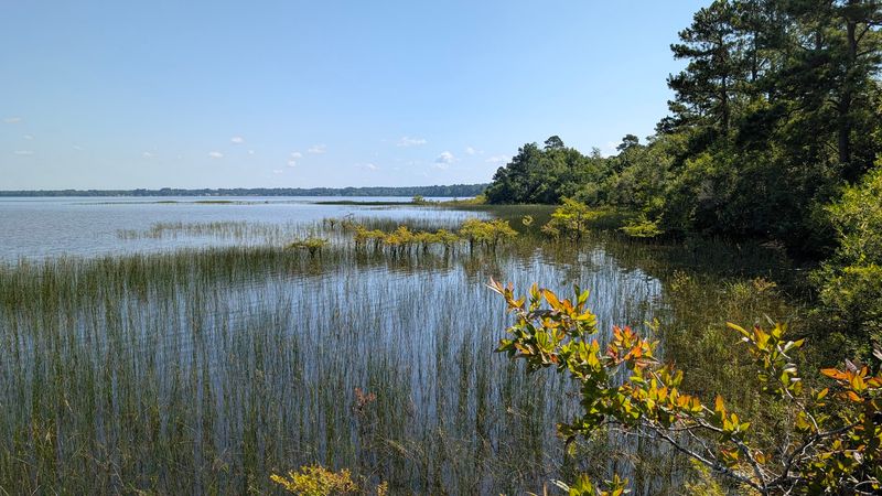 Lake Waccamaw State Park