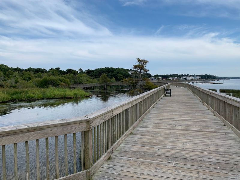 Duck Boardwalk