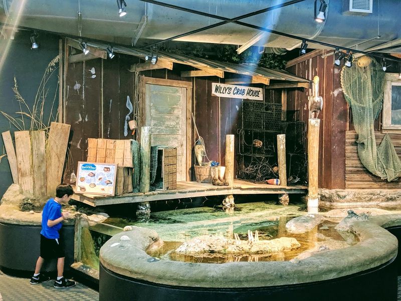 Rocky Mount Children's Museum and Science Center Gardens
