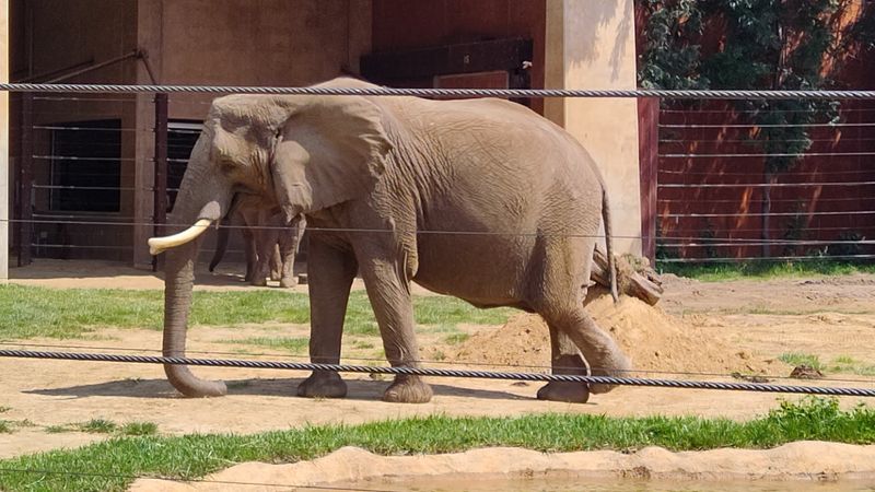 A Visit That Changes Pace Naturally