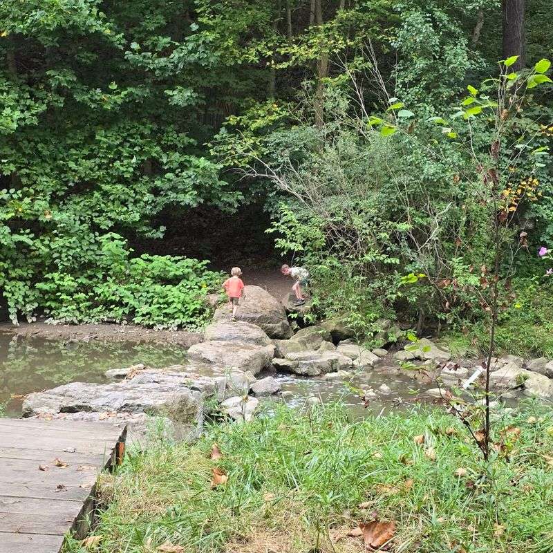 Trail Difficulty Options From Easy Strolls to Challenging Hikes