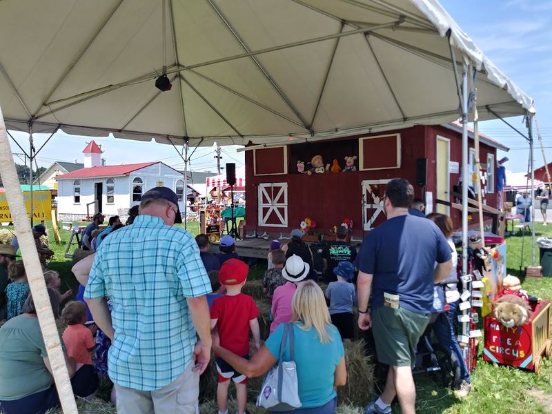 Experience Traditional Music and Culture at a Small Appalachian Festival