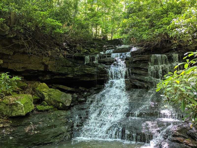 See the Waterfalls at Ohiopyle State Park