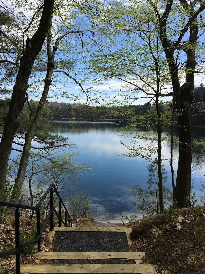 White Pond