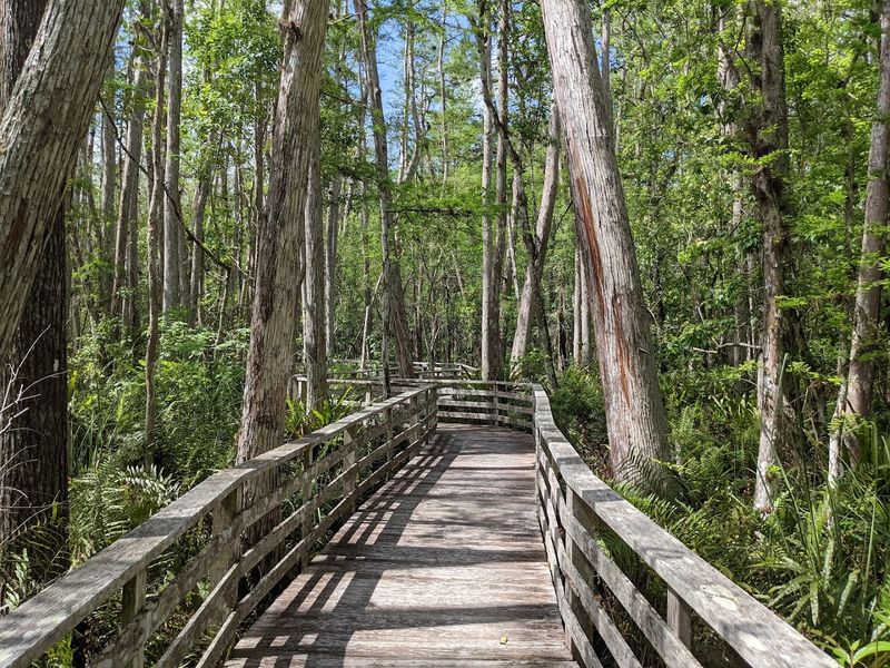 Corkscrew Swamp State Park