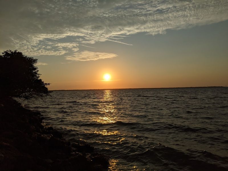Caladesi Island State Park (Dunedin)