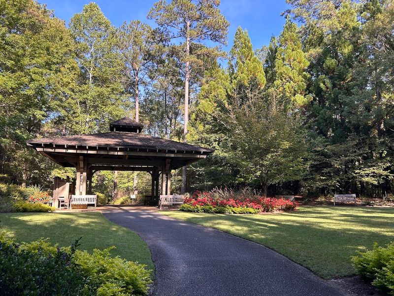Pine Mountain