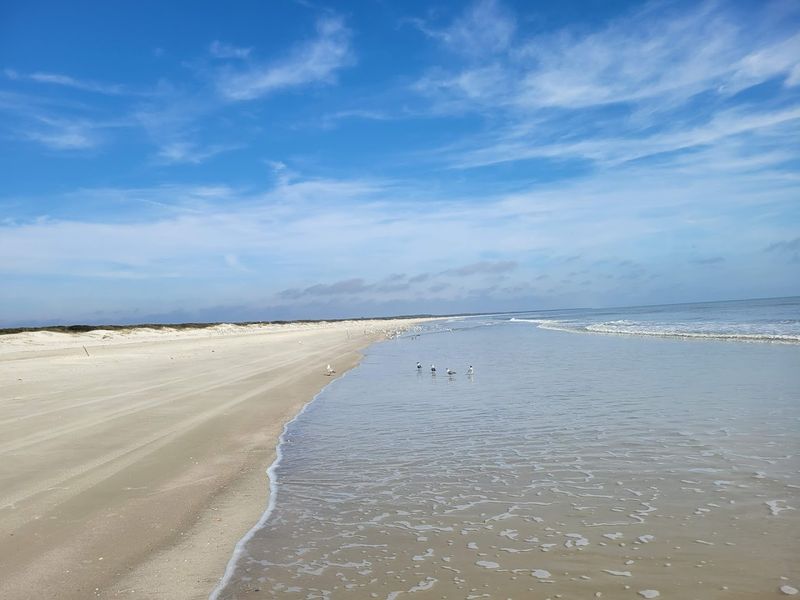 Cumberland Island National Seashore