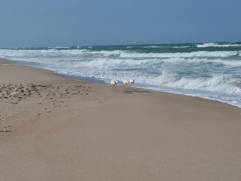 Playalinda Beach