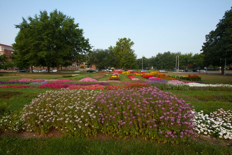 Chadwick Arboretum