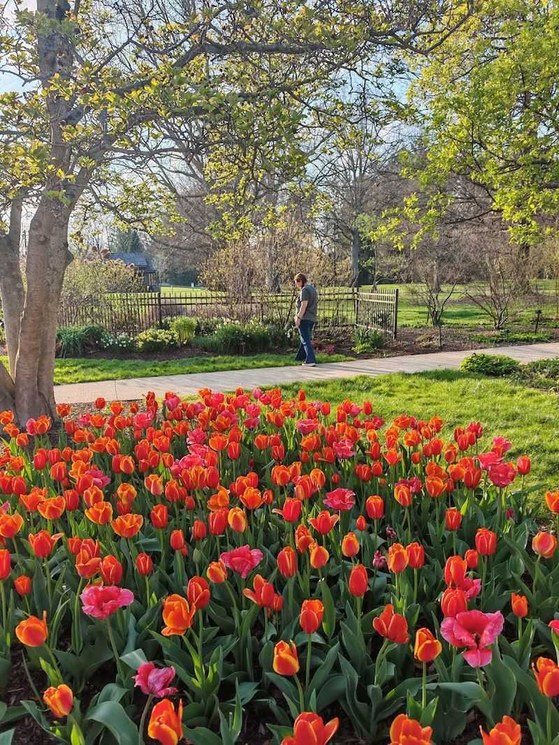 Inniswood Metro Gardens (Westerville)