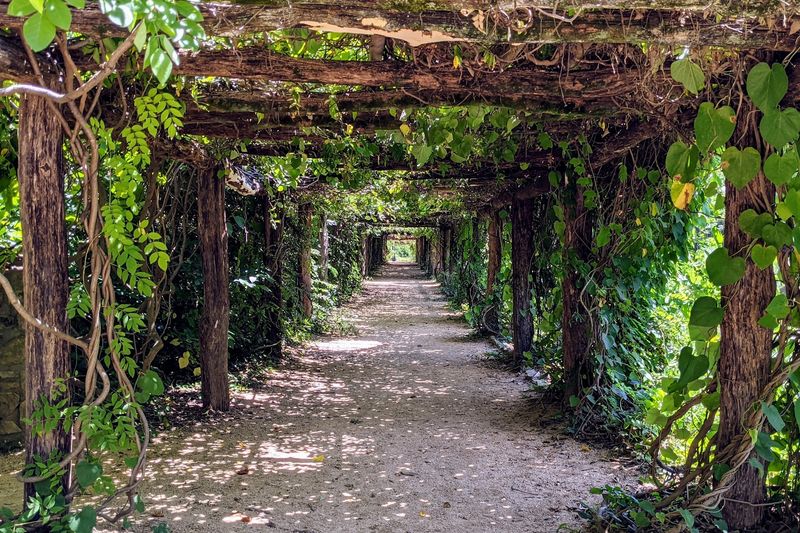 Coker Arboretum (Chapel Hill)