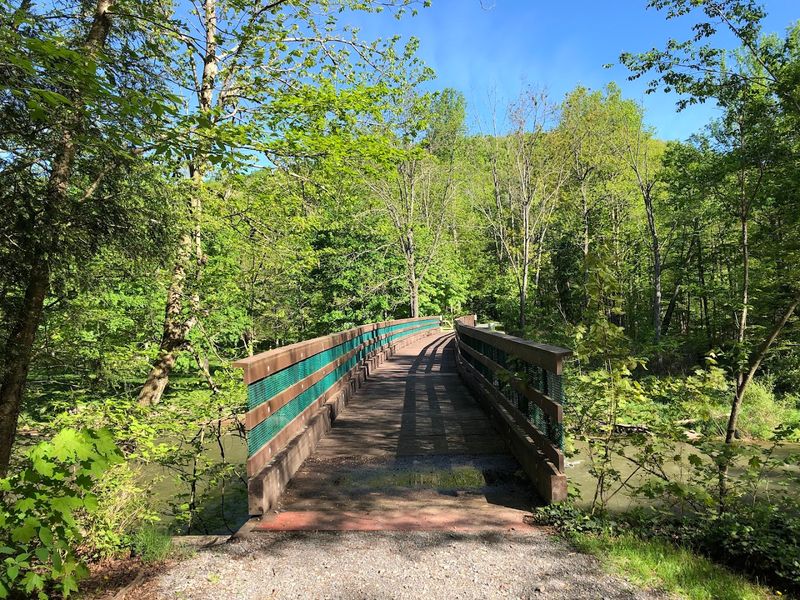 Finding Solitude In Bald Eagle State Forest