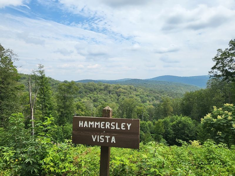 Hammersley Wild Area