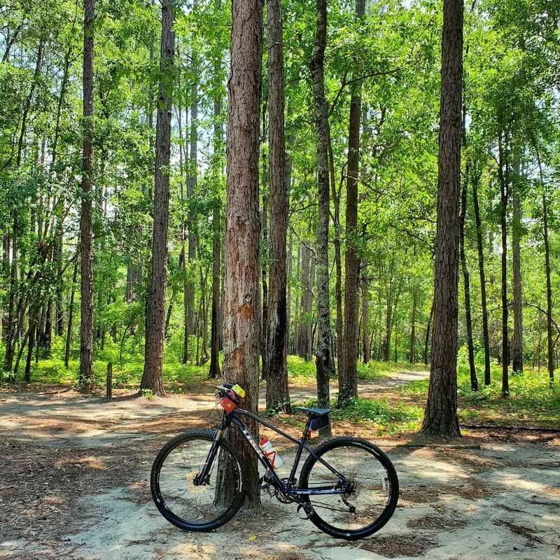 George L. Smith State Park