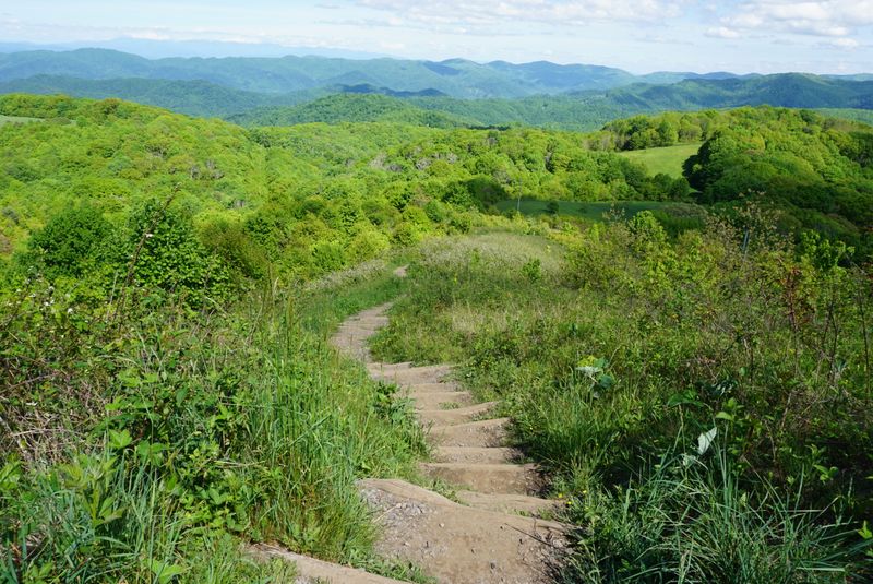 Max Patch Loop