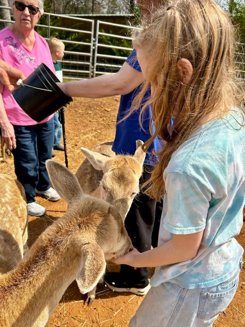 North Georgia Wildlife Park (Cleveland)