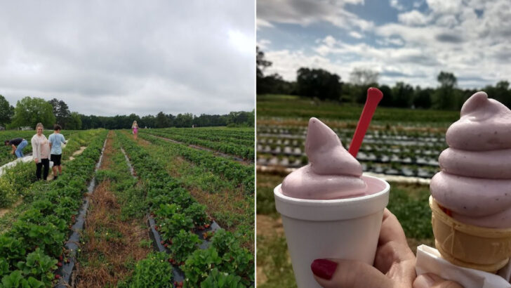 Strawberry Picking And Homemade Treats Make This Georgia Farm Perfect For A Spring Escape