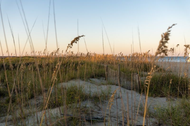 Swim and Relax at Tybee Island Beach