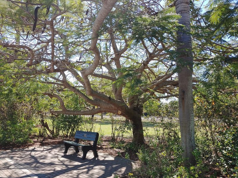Outdoor Recreation Everywhere
