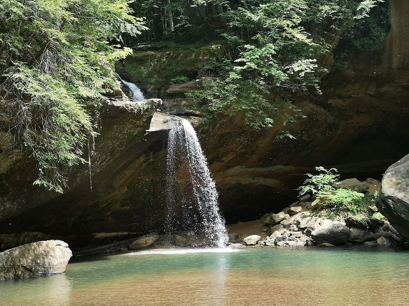 Seasonal Waterfall Wonder