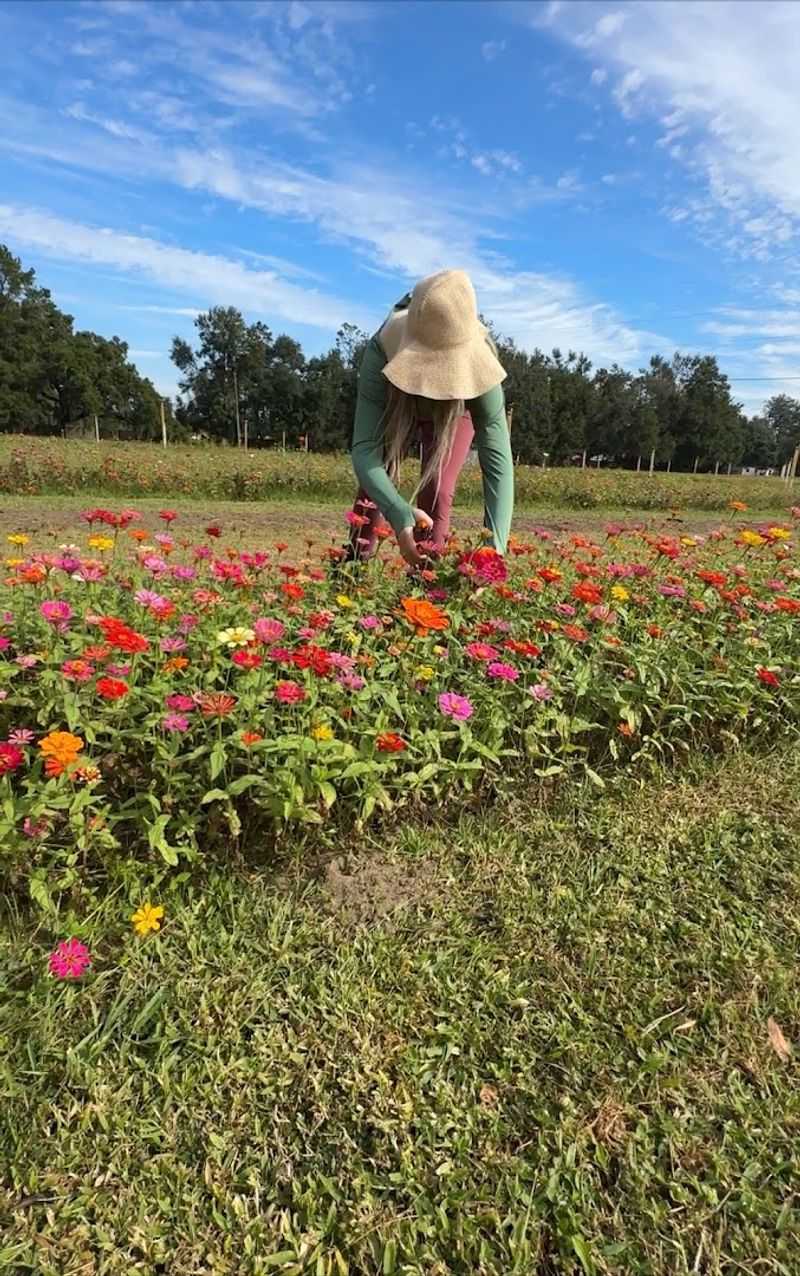 The Hands-On Picking Experience That Connects You With Nature