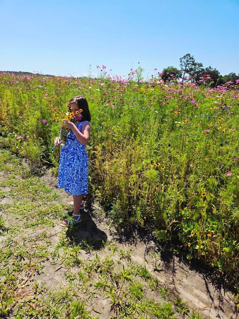 Parker Flower Farms