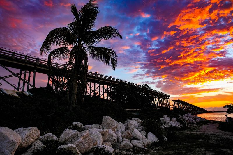 Stargazing at Bahia Honda State Park
