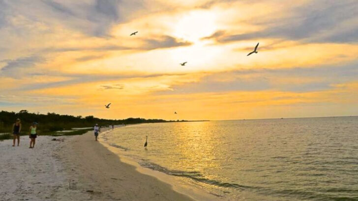 Sunset Walks And Peaceful Beaches Make This Florida Park Perfect For A Romantic Afternoon