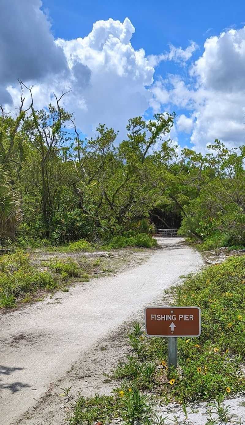 Scenic Trails Through Mangroves And Hammocks