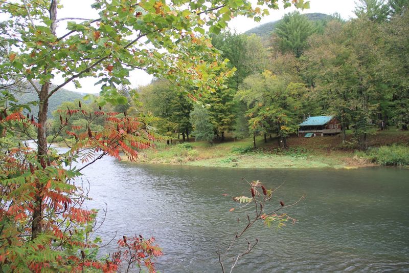 Pine Creek (Pine Creek Gorge / 