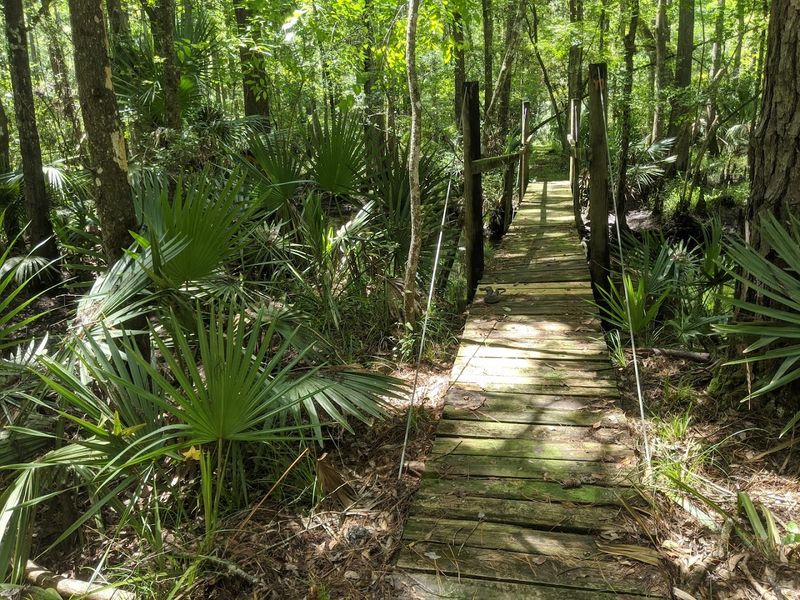 Rice Creek Conservation Area Trails