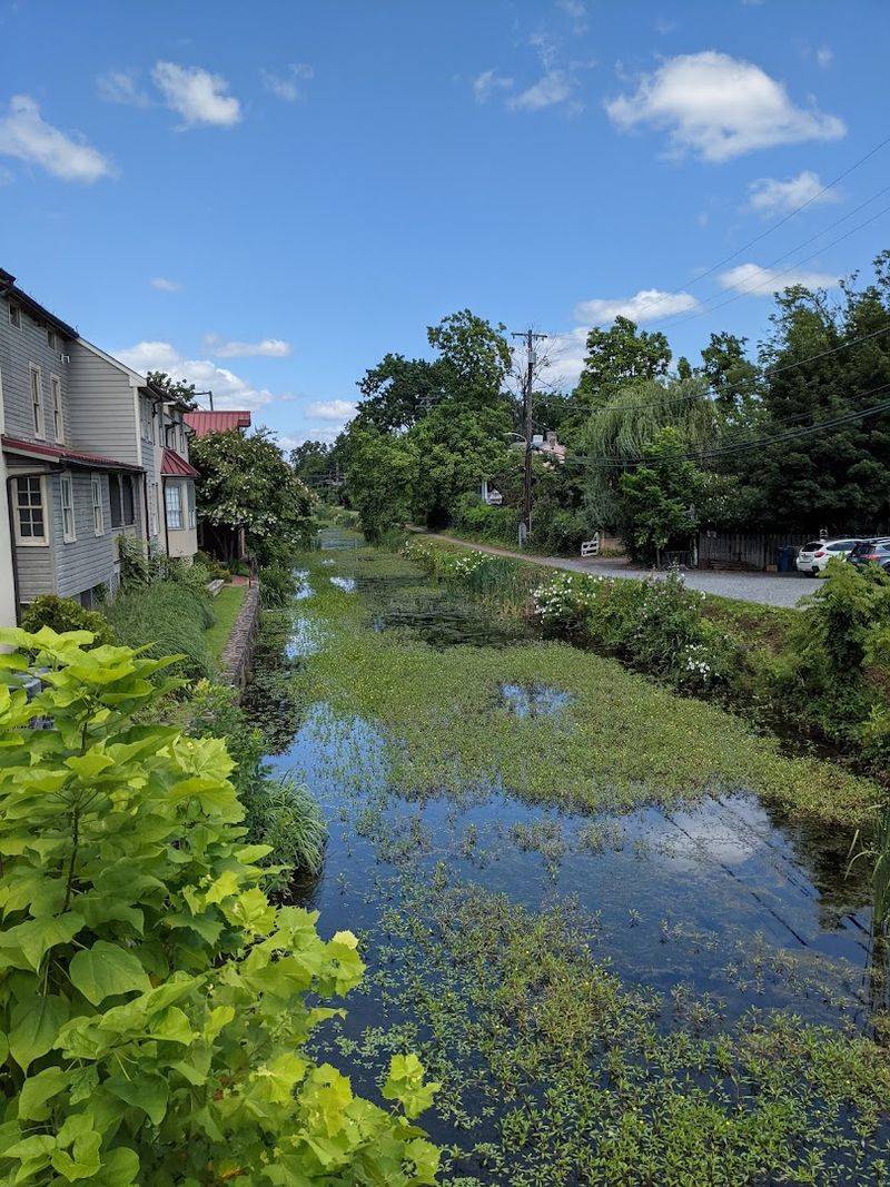 Walk the Canal Paths in New Hope