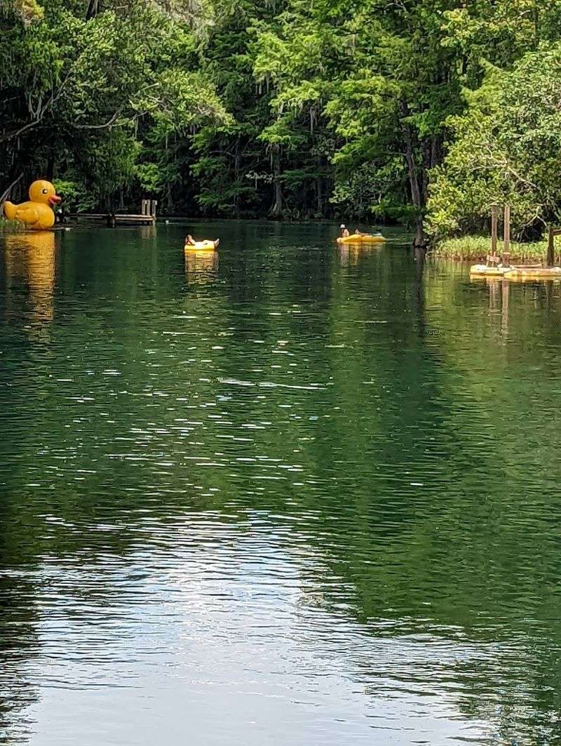 Tube Down the Rainbow River in Rainbow Springs State Park
