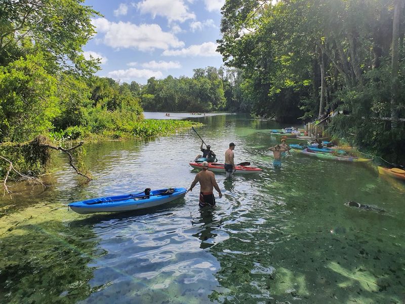 Kayaking And Canoeing Along The Wekiva River