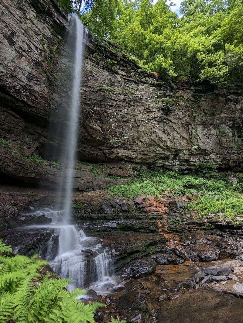 Cloudland Canyon State Park (West Rim & Waterfalls Trail)